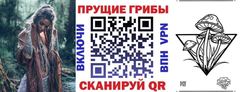 ОМГ ОМГ ССЫЛКА  Улан-Удэ  Псилоцибиновые грибы Psilocybine cubensis 